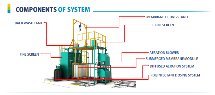 Conceptual Flow Diagram of OSE-MBR STP